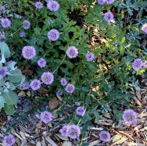 Learning this whole posh thing 😶